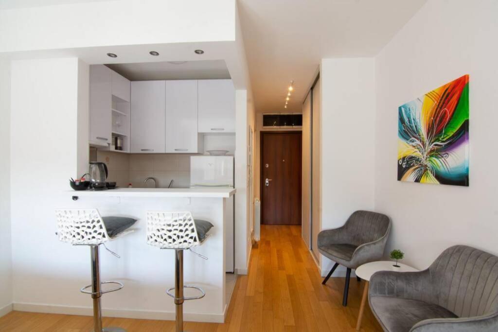 A Blok New Modern - Free Garage Parking, Comfortable, Quiet With A Park View Belgrad Exterior foto